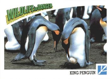 1992 Panini Wildlife In Danger #82 King Penguin Front
