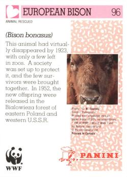 1992 Panini Wildlife In Danger #96 European Bison Back