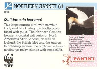 1992 Panini Wildlife In Danger #64 Northern Gannet Back