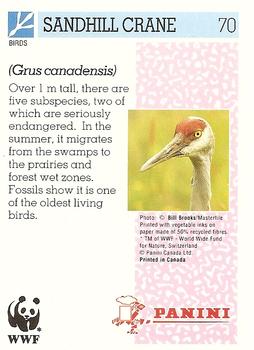 1992 Panini Wildlife In Danger #70 Sandhill Crane Back