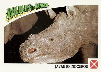 1992 Panini Wildlife In Danger #92 Javan Rhinoceros Front