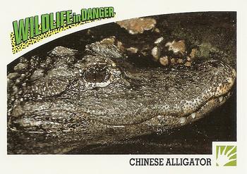 1992 Panini Wildlife In Danger #93 Chinese Alligator Front