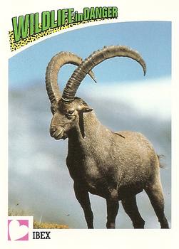 1992 Panini Wildlife In Danger #98 Ibex Front