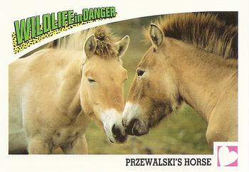 1992 Panini Wildlife In Danger #99 Przewalski's Horse Front