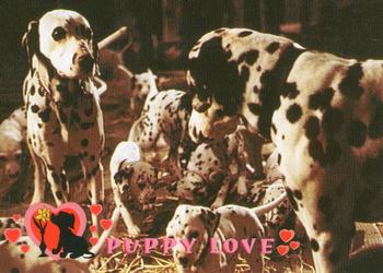 1996 SkyBox 101 Dalmatians #45 Reunited with their 15 beloved pups, P Front