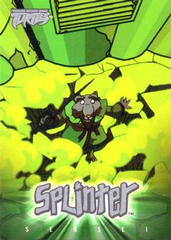 2003 Fleer Teenage Mutant Ninja Turtles #10 Character Overview Front