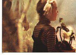 1982 Topps E.T. The Extraterrestrial Album Stickers #17 Elliott, Gertie, E.T. in woods (lower left) Front