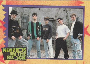1989 Topps New Kids on the Block #3 Setting Records! Front
