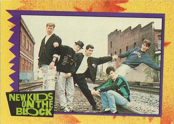 1989 Topps New Kids on the Block #24 New Kids Have This in Common... Front