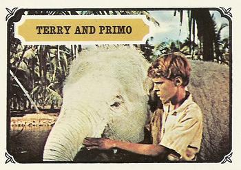 1967 Topps Maya: Mysteries of India #18 Terry and Primo Front