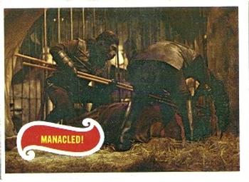 1969 Topps Planet of the Apes #31 Manacled! Front