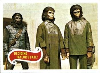 1969 Topps Planet of the Apes #36 Deciding Taylor's Fate! Front