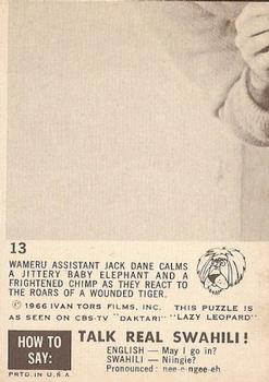 1966-67 Philadelphia Daktari #13 Don't Be Afraid Back