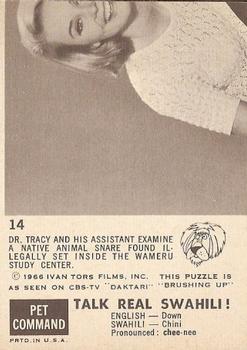 1966-67 Philadelphia Daktari #14 Clever and Cunning Back