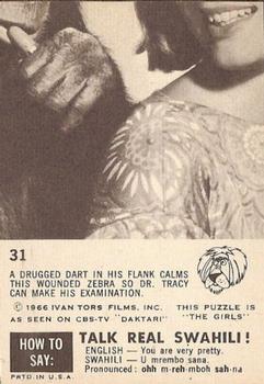 1966-67 Philadelphia Daktari #31 Tranquilized Zebra Back
