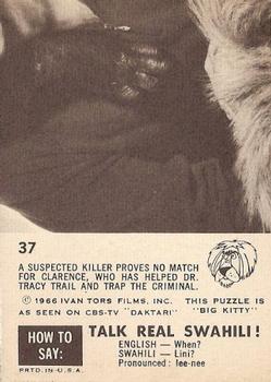 1966-67 Philadelphia Daktari #37 Murder Suspect Subdued Back