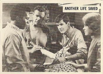 1966-67 Philadelphia Daktari #45 Another life saved Front