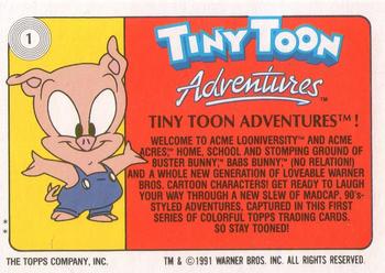 1991 Topps Tiny Toon Adventures #1 Tiny Toon Adventures Back