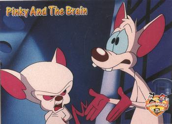 1995 Topps Animaniacs #33 Pinky / The Brain Front