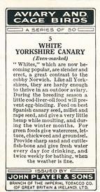 1933 Player's Aviary and Cage Birds #5 White Yorkshire Canary (Even-marked) Back