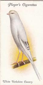 1933 Player's Aviary and Cage Birds #5 White Yorkshire Canary (Even-marked) Front