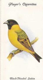1933 Player's Aviary and Cage Birds #46 Black-Headed Siskin Front