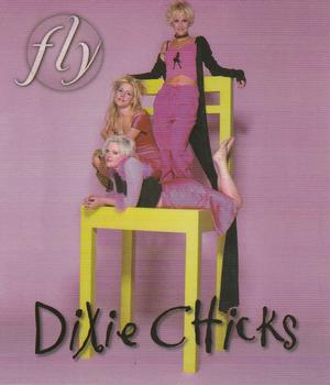 1999 Sony Dixie Chicks Fly CD Collectors Card #10063 Dixie Chicks Front