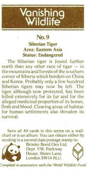 1978 Brooke Bond Vanishing Wildlife #9 Siberian Tiger Back