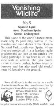 1988 Brooke Bond Vanishing Wildlife #5 Spanish Lynx Back