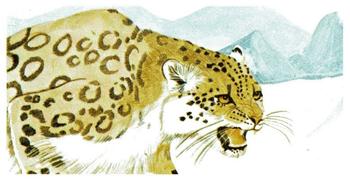 1988 Brooke Bond Vanishing Wildlife #18 Snow Leopard Front