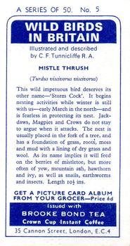 1965 Brooke Bond Wild Birds in Britain #5 Mistle Thrush Back