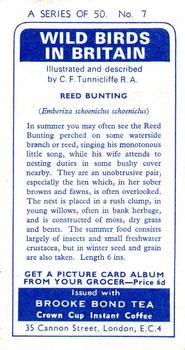 1965 Brooke Bond Wild Birds in Britain #7 Reed Bunting Back