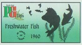 1994 Brooke Bond 40 Years of Cards (Black Back) #7 Freshwater Fish Front