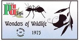 1994 Brooke Bond 40 Years of Cards (Black Back) #29 Wonders of Wildlife Front