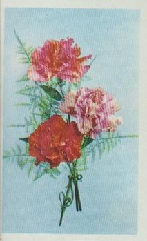 1970 Trucards Flowers #1 Carnation Front