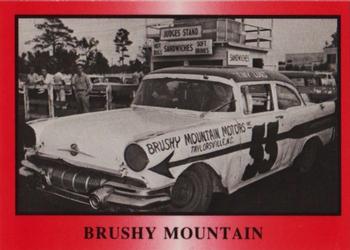1991 TG Racing Tiny Lund #9 Brushy Mountain Front
