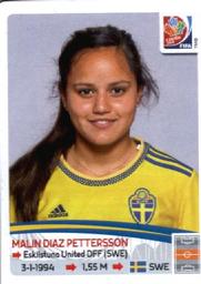 2015 Panini Women's World Cup Stickers #298 Malin Diaz Pettersson Front
