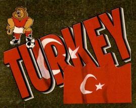 1996 Merlin's Euro 96 Stickers #299 Turkey Flag Front