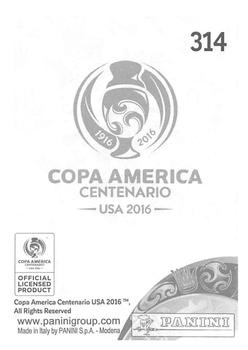 2016 Panini Copa America Centenario Stickers #314 Javier Mascherano Back