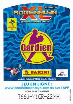 2018-19 Panini Adrenalyn XL Ligue 1 #307 Stéphane Ruffier Back