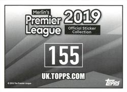 2018-19 Merlin Premier League 2019 #155a / 155b Cardiff City Home Kit / Away Kit Back