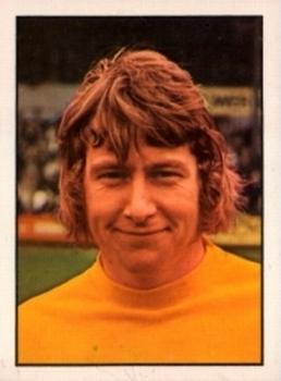 1972-73 Panini Top Sellers #110 Bobby Hoy Front