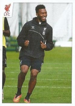 2014-15 Panini Liverpool FC Official Sticker Collection #55 Daniel Sturridge Front