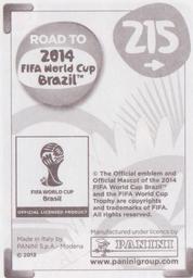 2013 Panini Road to 2014 FIFA World Cup Brazil Stickers #215 Raul Fernandez Back