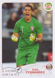 2013 Panini Road to 2014 FIFA World Cup Brazil Stickers #215 Raul Fernandez Front
