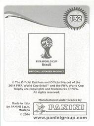 2014 Panini FIFA World Cup Brazil Stickers #132 Ron Vlaar Back