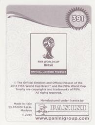 2014 Panini FIFA World Cup Brazil Stickers #391 Olivier Giroud Back