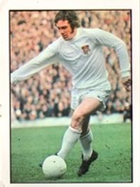 1971-72 Panini Football 72 #285 Mike Pejic Front