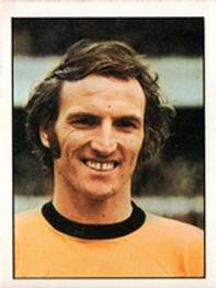 1971-72 Panini Football 72 #353 Derek Dougan Front