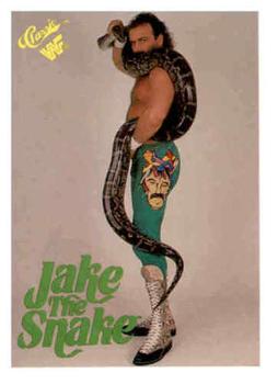 1989 Classic WWF #7 Jake 